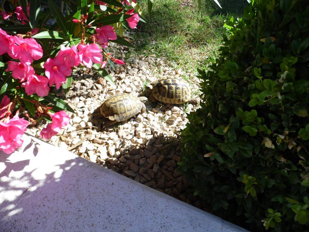 Holiday Home Villa Romantica สเวติ ฟิลลิปปี ยาคอฟ ภายนอก รูปภาพ